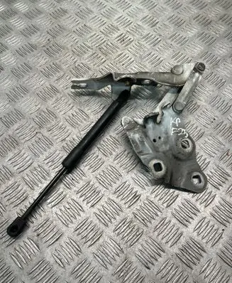 BMW X3 F25 Engine bonnet/hood hinges 7210729