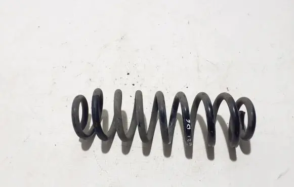 Dacia Spring Rear coil spring 550200356R