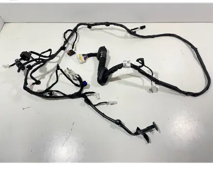 Hyundai Kona II Rear door wiring loom 91650hf010 3624117048 2401220101