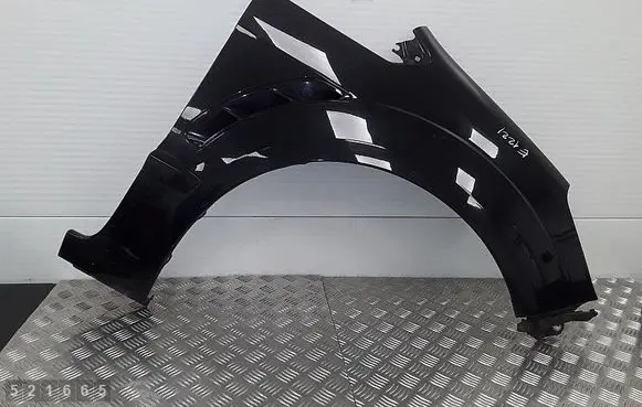 Ford S-MAX Fender 