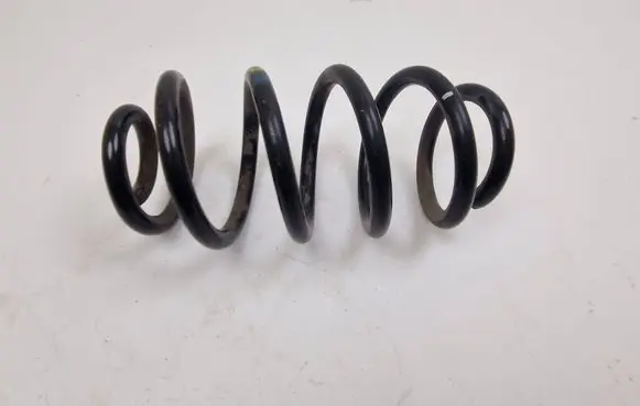 Renault Zoe Rear coil spring 