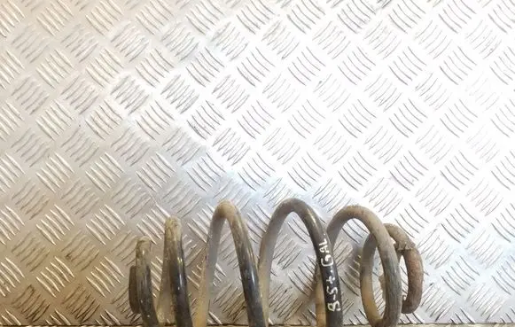 Rear coil spring