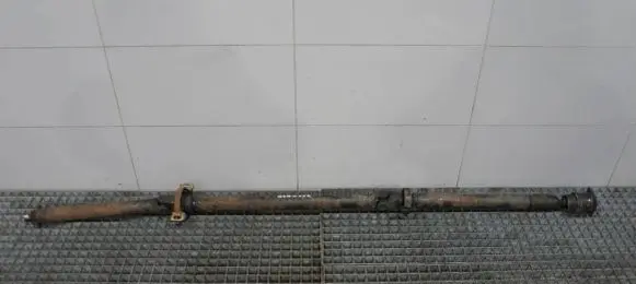 Renault Scenic RX Drive shaft (set)