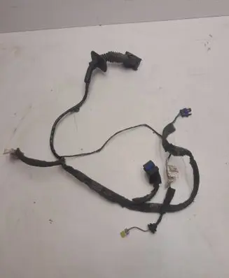 Renault Scenic II - Grand scenic II Front door wiring loom/harness boot 8200466103 ZT042005
