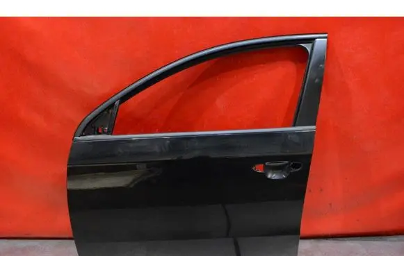 Volkswagen PASSAT B6 Front door 