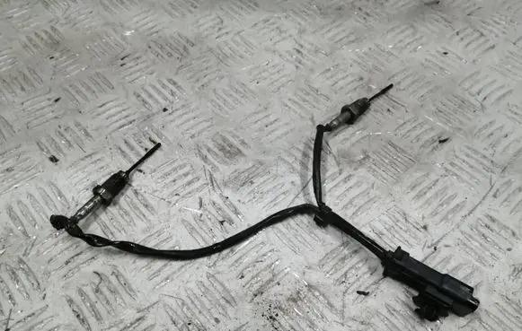 Citroen C4 II Picasso Exhaust gas temperature sensor 9808312080