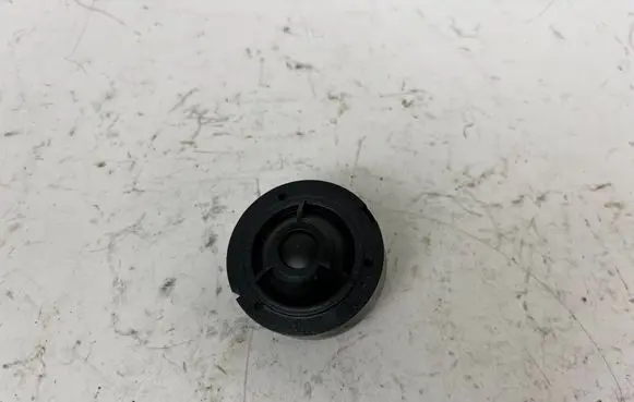 Audi RS5 Front door high frequency speaker 