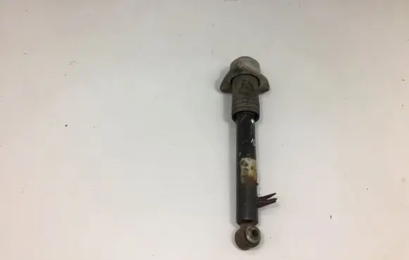 BMW X6 E71 Rear shock absorber/damper 6773238