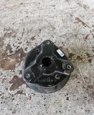 Coil spring mount