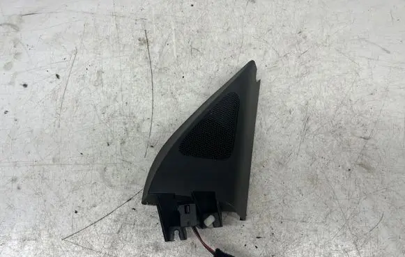 Volkswagen PASSAT B6 Front door high frequency speaker