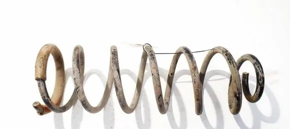 Citroen C8 Rear coil spring 