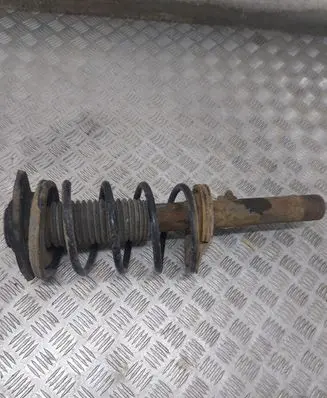 Peugeot 206 Front shock absorber with coil spring