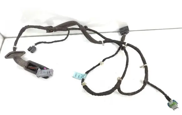 Chevrolet Orlando Rear door wiring loom 650865003 J309RRLH 974261YH