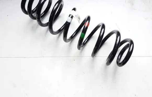 Rear coil spring