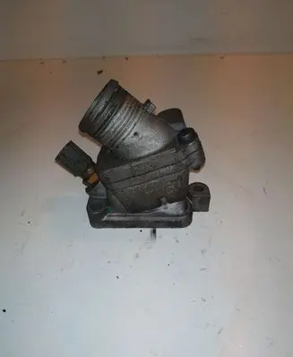 Thermostat/thermostat housing