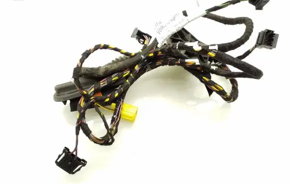 Front door wiring loom
