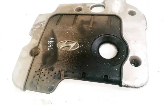 Hyundai Santa Fe Engine cover (trim)