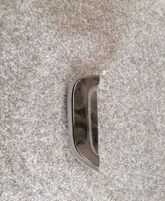 Rear door glass trim molding