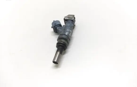Volkswagen Phaeton Fuel injector 0280157012 022906031J