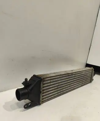 Fiat Doblo Intercooler radiator 896255500