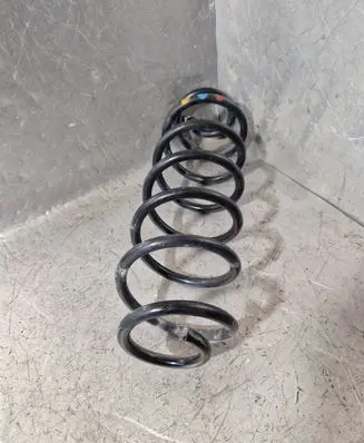 Rear coil spring