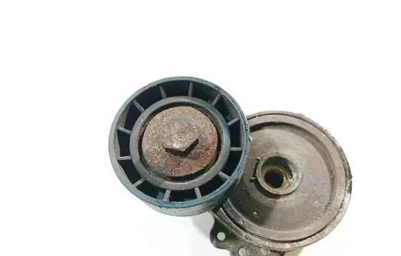 Peugeot 307 Generator/alternator belt tensioner 