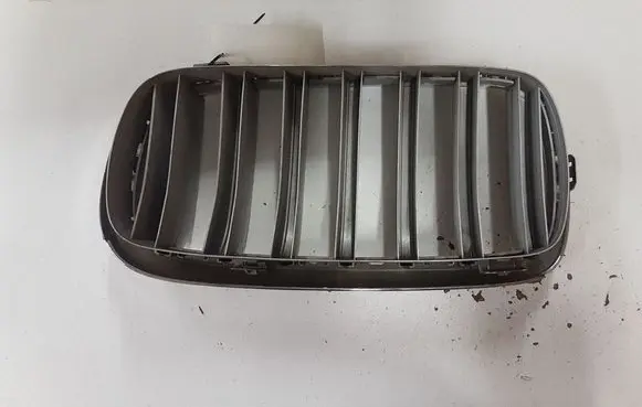 BMW X5 F15 Front grill 7316076 7316058