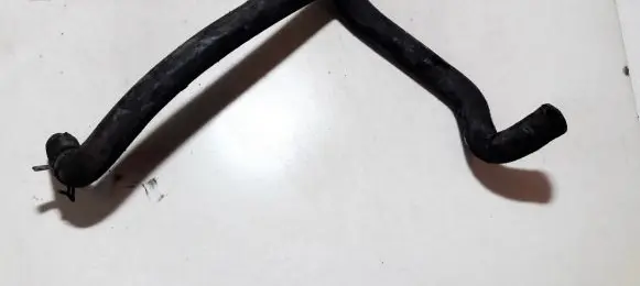 Citroen Berlingo Engine coolant pipe/hose