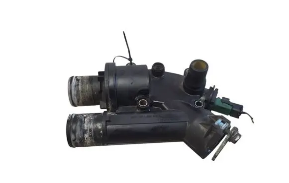 Thermostat/thermostat housing
