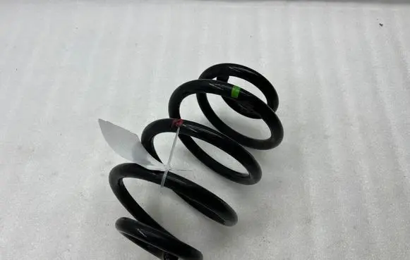 Nissan Leaf II (ZE1) Rear coil spring