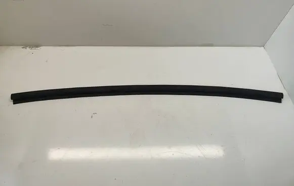 Dodge Challenger Rubber seal front coupe door 4575881AA