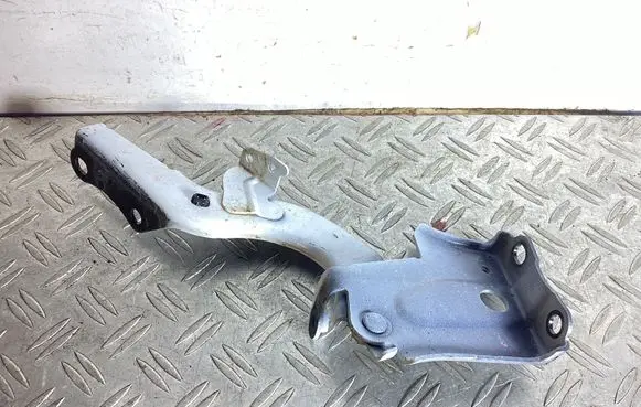 Lexus NX Engine bonnet/hood hinges 