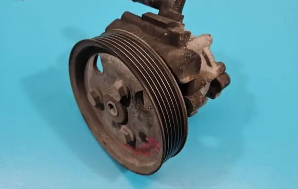 Electric power steering pump