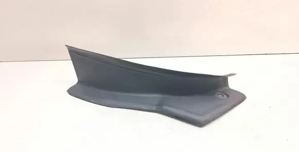 Rear/tail light trim molding