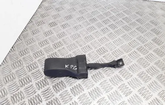 Volkswagen Touran III Rear door check strap stopper 5TA839267 5TA839249B