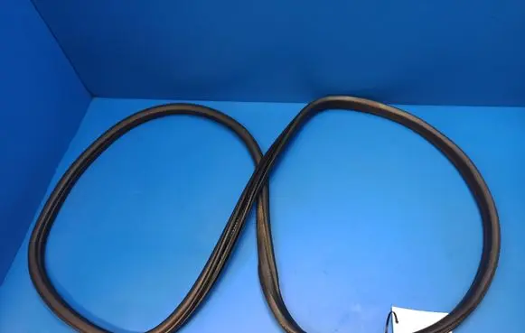 BMW X4 F26 Rear door rubber seal (on body) 72380924