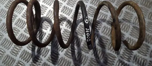 Chrysler 300M Rear coil spring