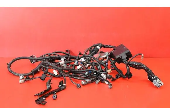 Nissan Qashqai Other wiring loom 240116VU0A