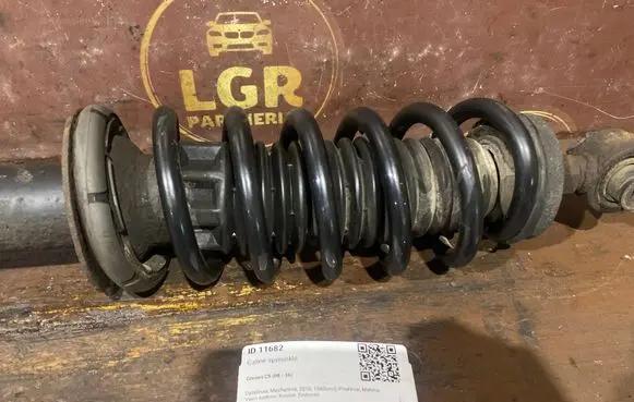 Citroen C5 Rear coil spring
