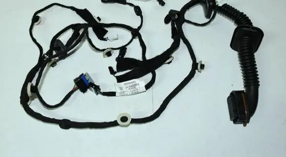 Front door wiring loom