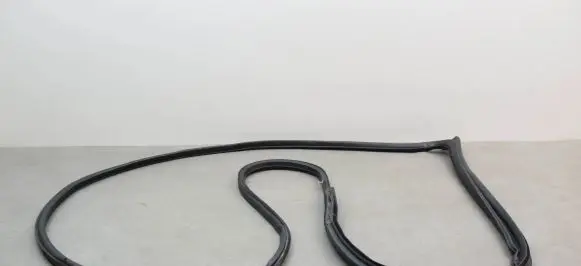 Nissan Juke I F15 Rubber seal front coupe door 