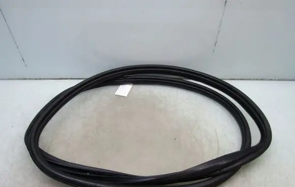 Honda Civic X Rubber seal rear door 