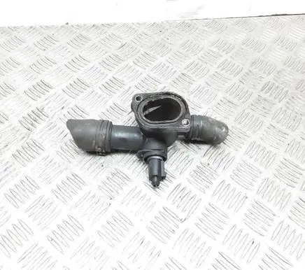 Thermostat/thermostat housing