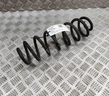 Toyota RAV 4 (XA50) Rear coil spring 4823142590