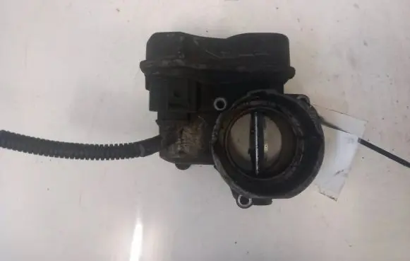 Dodge Journey Throttle valve 03G128063B