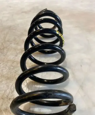 Rear coil spring