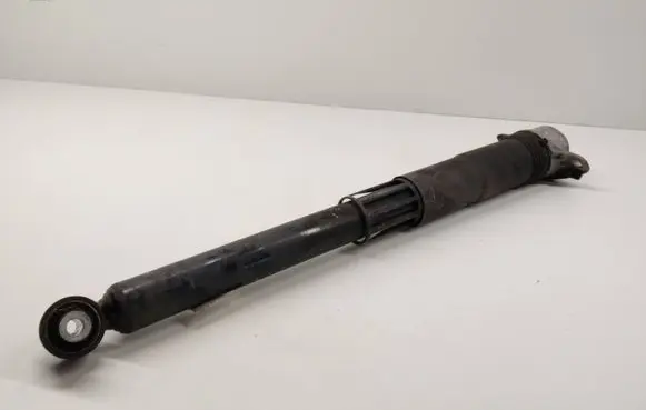 Volkswagen Tiguan Allspace Rear shock absorber/damper 100207765
