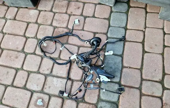 Opel Insignia B Front door wiring loom 39133644