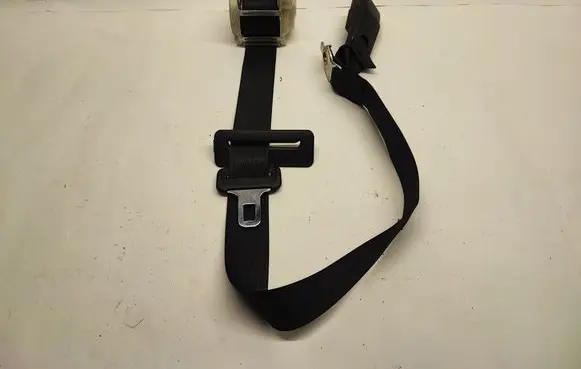 Dodge Charger Middle seatbelt (rear) P5UZ241X9AB