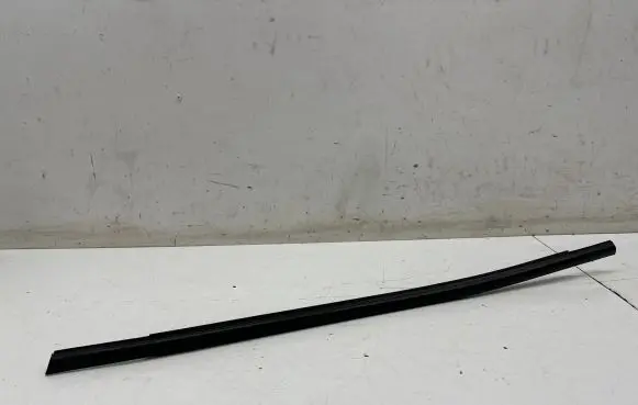 Rear door glass trim molding